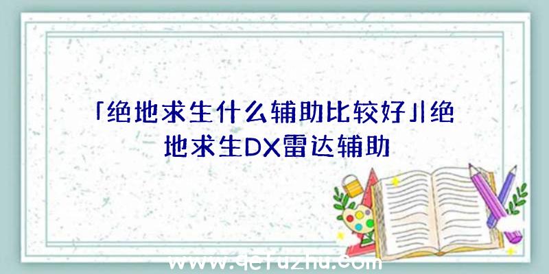 「绝地求生什么辅助比较好」|绝地求生DX雷达辅助